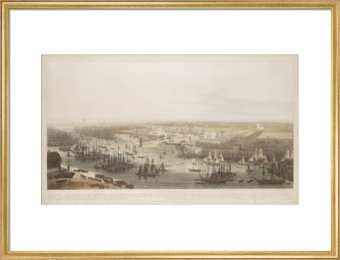 A View of the London Docks 1808