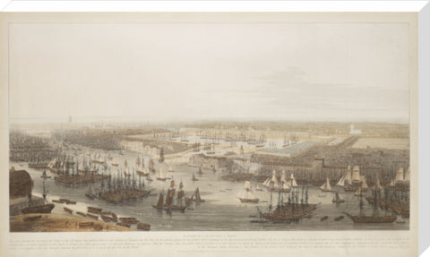 A View of the London Docks 1808