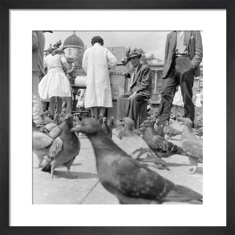 Crowds and pigeons in Trafalgar Square 1960