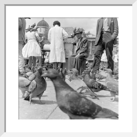 Crowds and pigeons in Trafalgar Square 1960