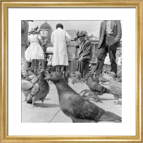 Crowds and pigeons in Trafalgar Square 1960