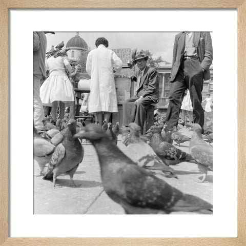 Crowds and pigeons in Trafalgar Square 1960