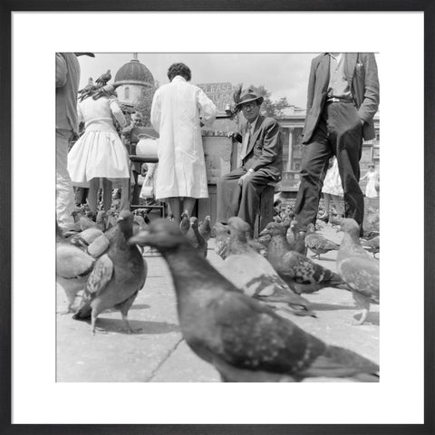 Crowds and pigeons in Trafalgar Square 1960