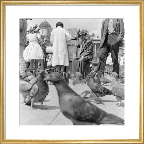 Crowds and pigeons in Trafalgar Square 1960
