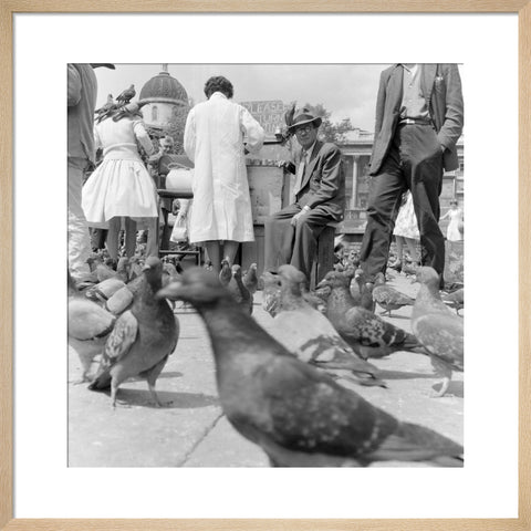 Crowds and pigeons in Trafalgar Square 1960