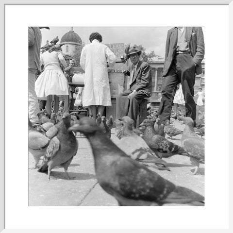 Crowds and pigeons in Trafalgar Square 1960