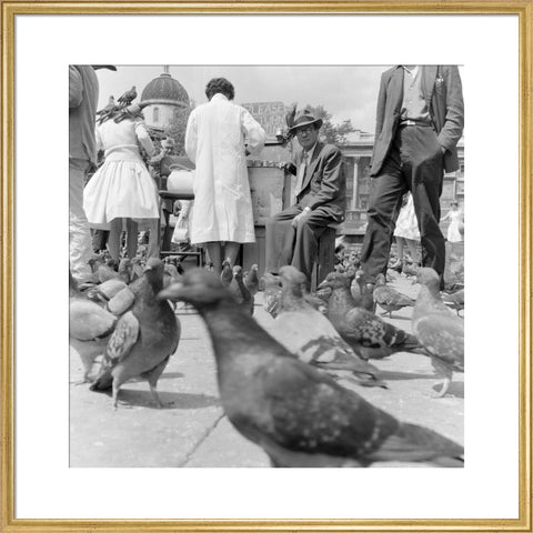 Crowds and pigeons in Trafalgar Square 1960