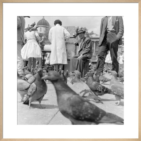 Crowds and pigeons in Trafalgar Square 1960