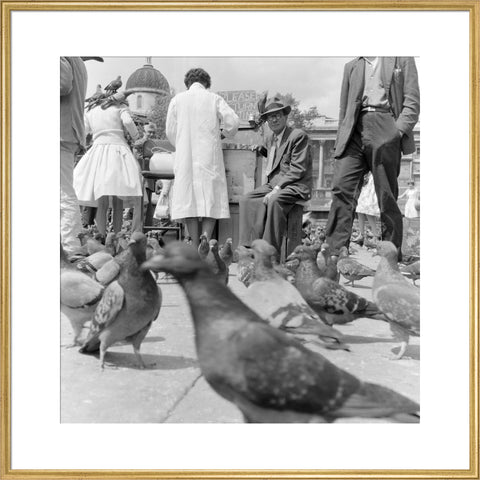 Crowds and pigeons in Trafalgar Square 1960