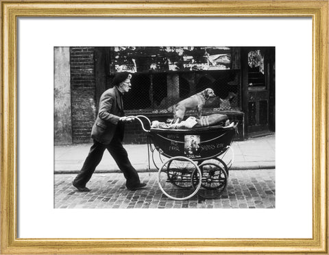 Man pushing a pram containing his wares and a standing dog 1961