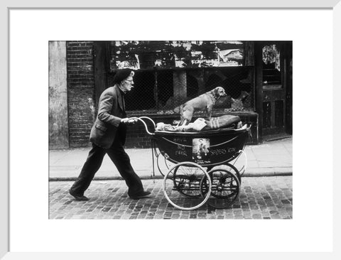 Man pushing a pram containing his wares and a standing dog 1961