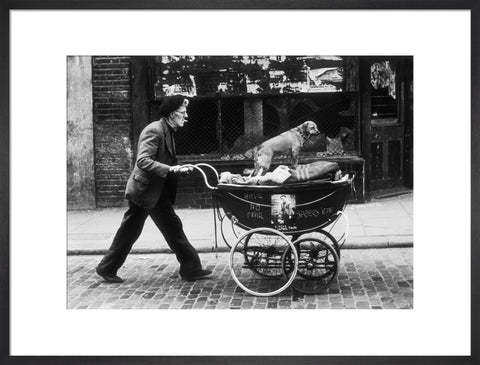 Man pushing a pram containing his wares and a standing dog 1961