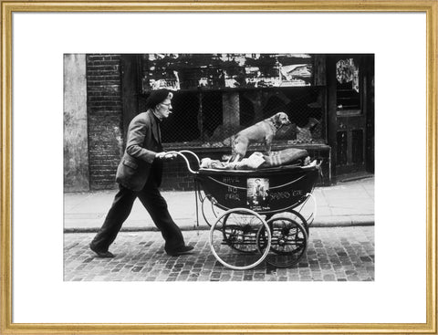 Man pushing a pram containing his wares and a standing dog 1961