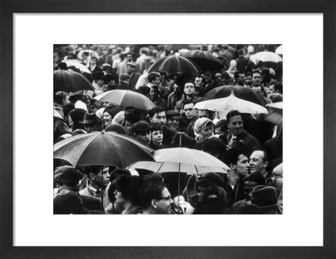 A crowd huddled underneath umbrellas in the rain 1961