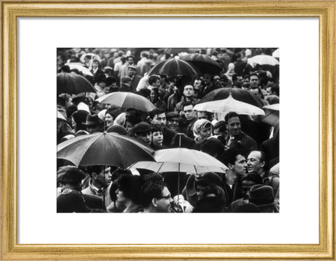 A crowd huddled underneath umbrellas in the rain 1961