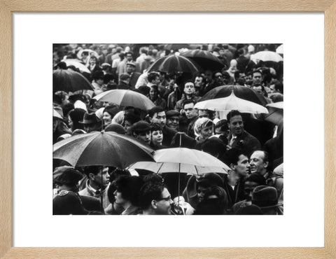 A crowd huddled underneath umbrellas in the rain 1961