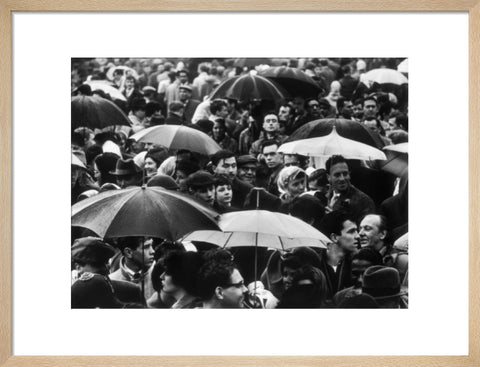 A crowd huddled underneath umbrellas in the rain 1961