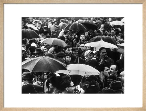 A crowd huddled underneath umbrellas in the rain 1961