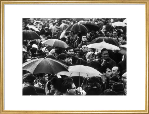 A crowd huddled underneath umbrellas in the rain 1961