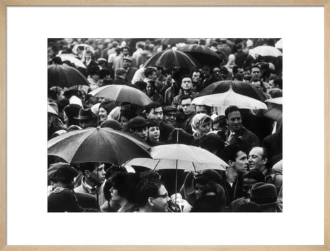 A crowd huddled underneath umbrellas in the rain 1961