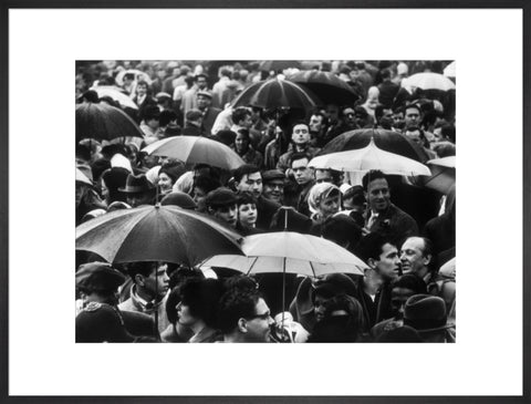 A crowd huddled underneath umbrellas in the rain 1961