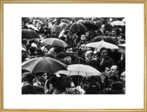 A crowd huddled underneath umbrellas in the rain 1961