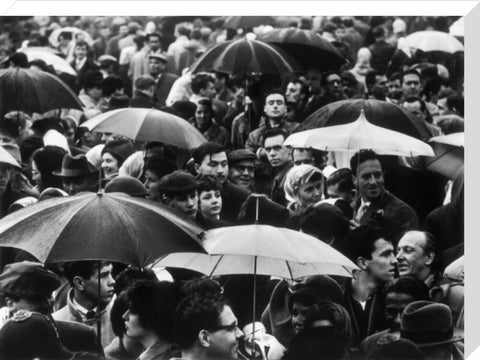 A crowd huddled underneath umbrellas in the rain 1961