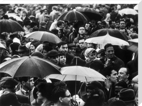 A crowd huddled underneath umbrellas in the rain 1961