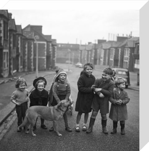 Children gathered in street with dog. c.1955