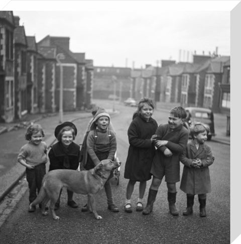 Children gathered in street with dog. c.1955