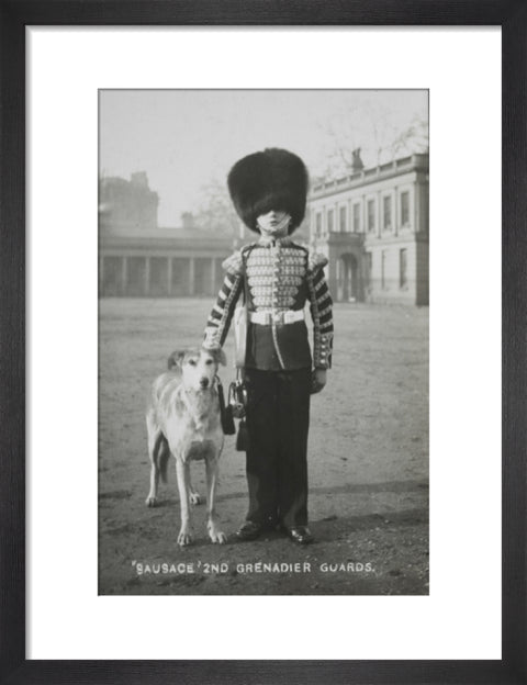 Sausage' the Grenadier Guards regimental mascot with a bugler