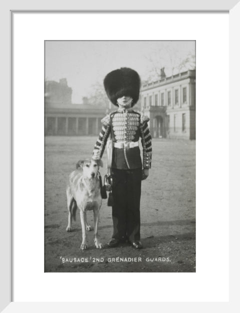 Sausage' the Grenadier Guards regimental mascot with a bugler