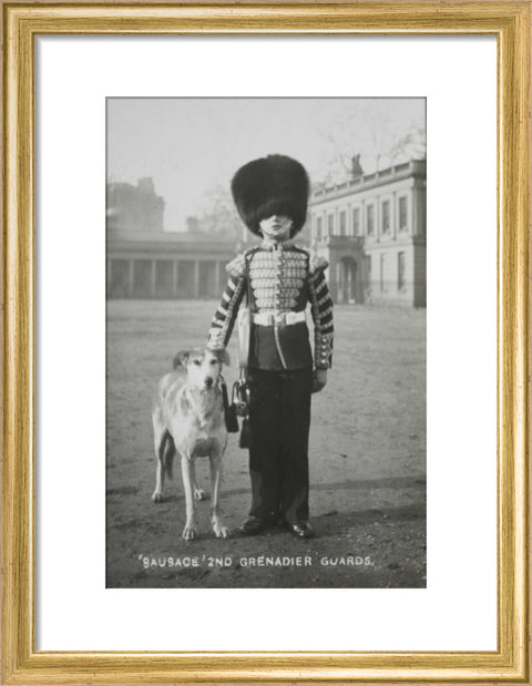 Sausage' the Grenadier Guards regimental mascot with a bugler