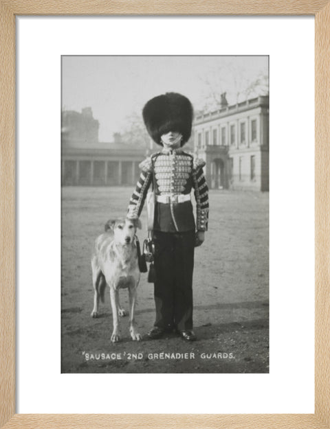 Sausage' the Grenadier Guards regimental mascot with a bugler