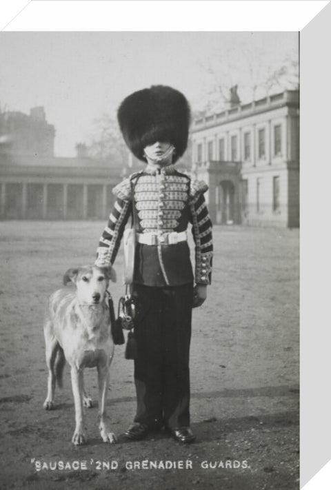 Sausage' the Grenadier Guards regimental mascot with a bugler