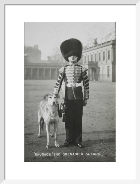 Sausage' the Grenadier Guards regimental mascot with a bugler