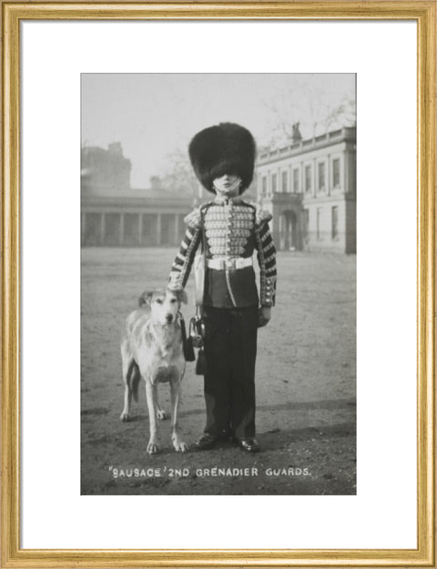 Sausage' the Grenadier Guards regimental mascot with a bugler