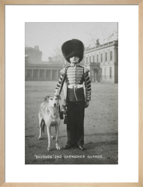 Sausage' the Grenadier Guards regimental mascot with a bugler