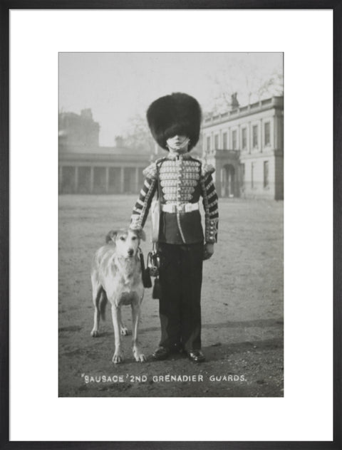 Sausage' the Grenadier Guards regimental mascot with a bugler