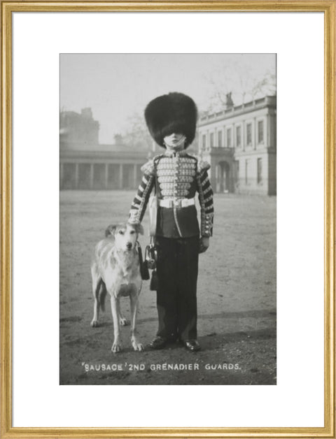 Sausage' the Grenadier Guards regimental mascot with a bugler