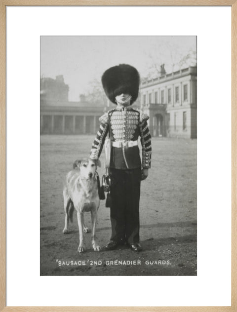 Sausage' the Grenadier Guards regimental mascot with a bugler