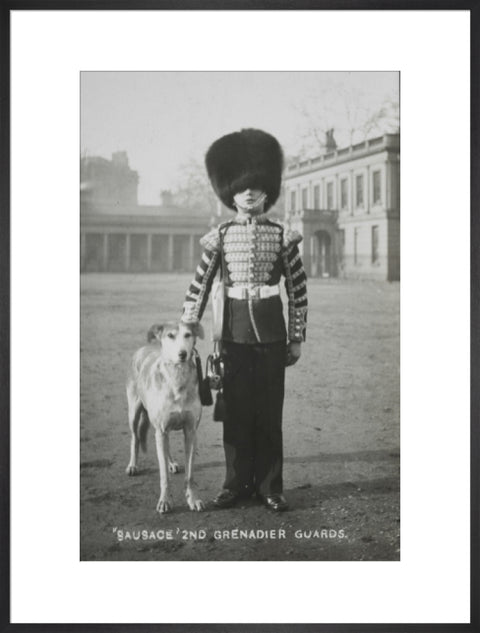 Sausage' the Grenadier Guards regimental mascot with a bugler