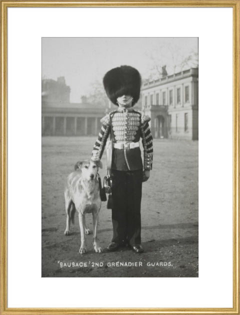 Sausage' the Grenadier Guards regimental mascot with a bugler