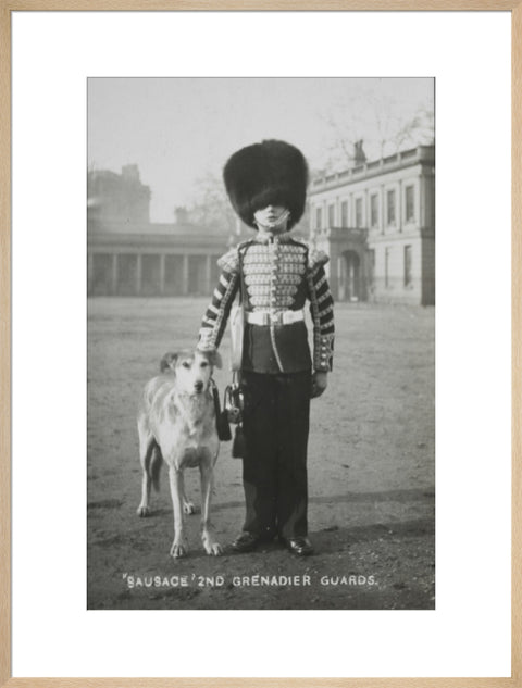 Sausage' the Grenadier Guards regimental mascot with a bugler