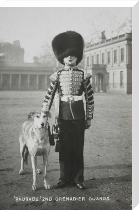 Sausage' the Grenadier Guards regimental mascot with a bugler