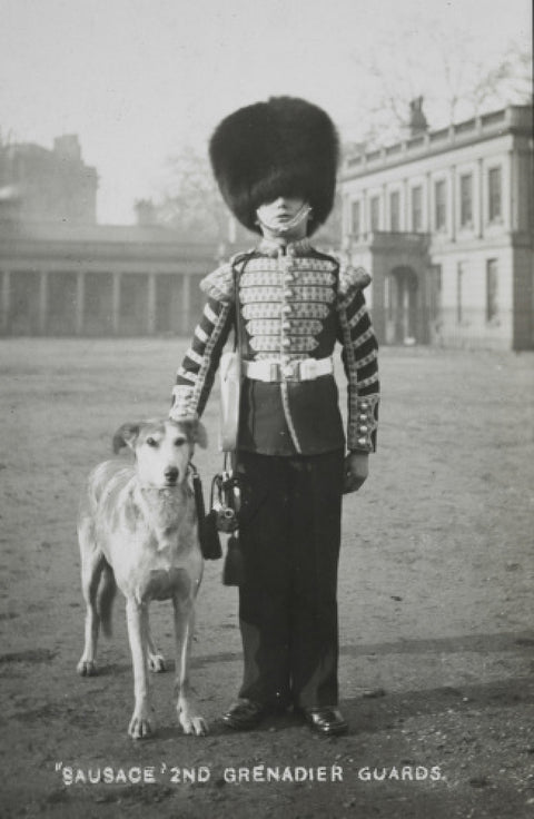 Sausage' the Grenadier Guards regimental mascot with a bugler