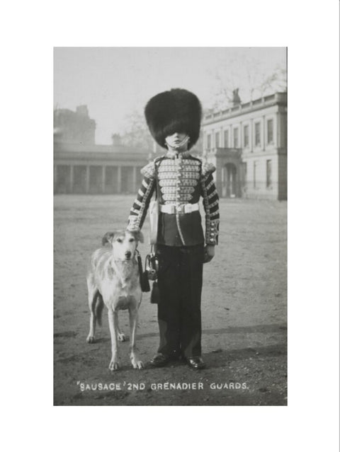 Sausage' the Grenadier Guards regimental mascot with a bugler