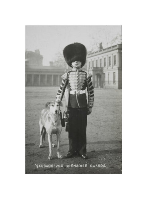 Sausage' the Grenadier Guards regimental mascot with a bugler