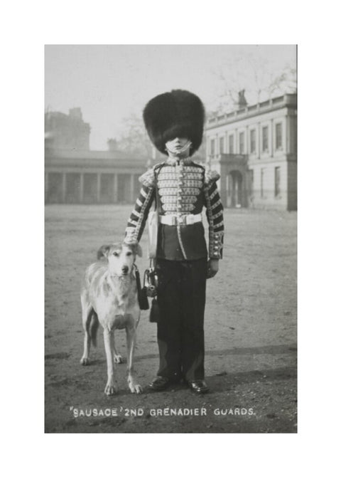 Sausage' the Grenadier Guards regimental mascot with a bugler