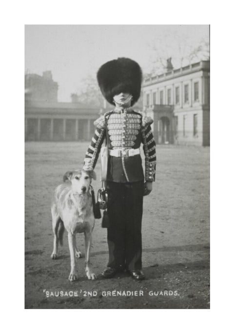 Sausage' the Grenadier Guards regimental mascot with a bugler